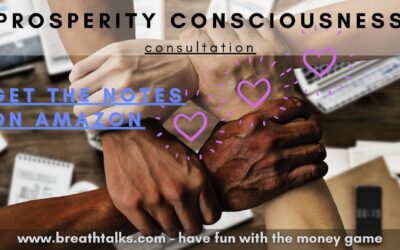 Prosperity Consciousness Consultation