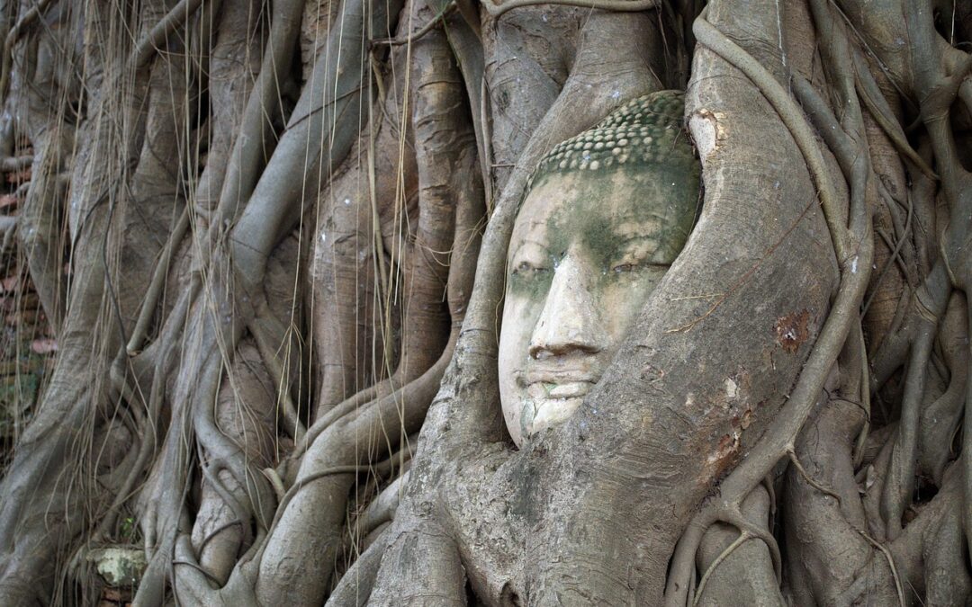 Nothing is as it appears (6)